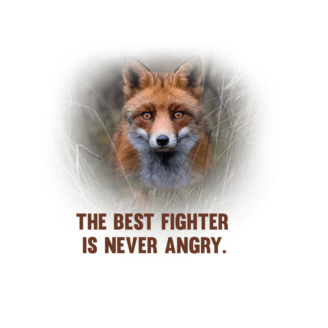 Inspirational_Quotes